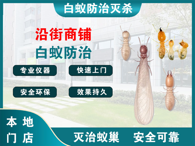 黄浦区沿街商铺白蚁防治