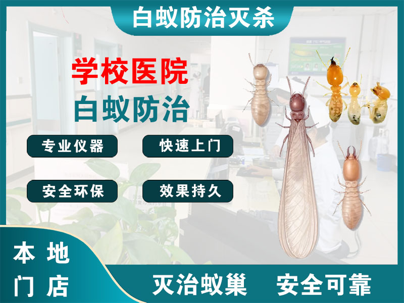 黄浦区学校医院白蚁防治