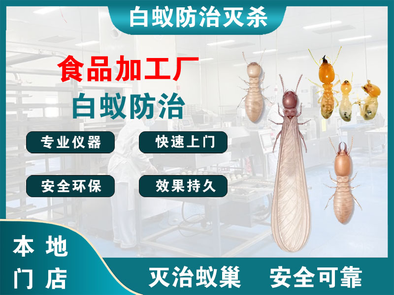 黄浦区食品加工厂白蚁防治