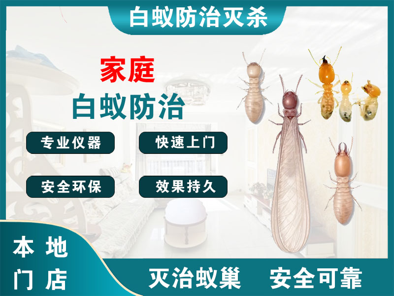 黄浦区家庭白蚁防治