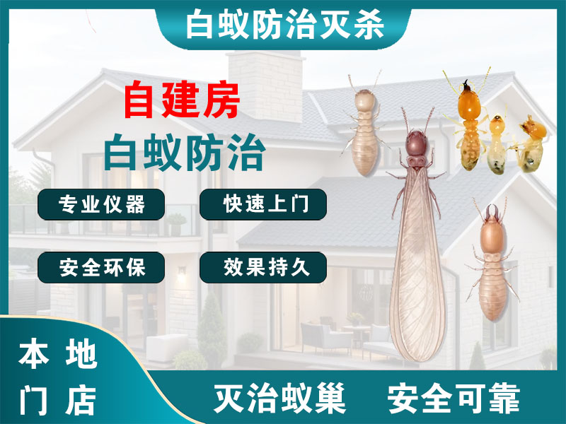 黄浦区自建房白蚁防治