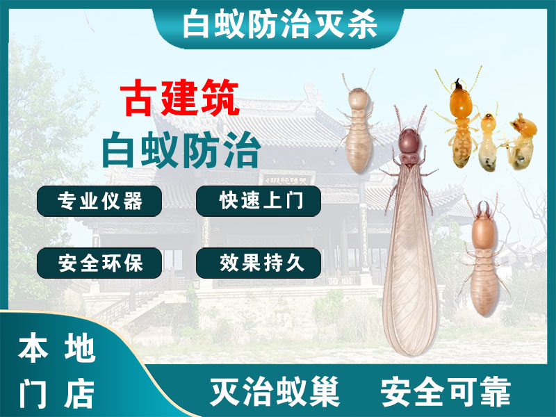 黄浦区古建筑白蚁防治