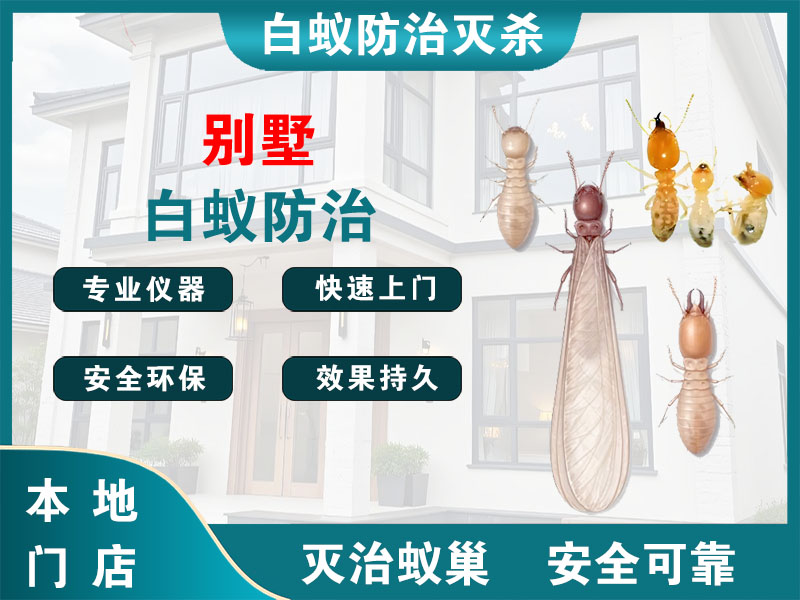 黄浦区别墅白蚁防治